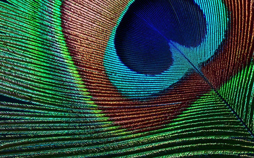 Epson EH - TW7000, 3000 ANSI Lumen, 3LCD, UHD 4K (3840x2160), 40000:1, 16:9, 1016 - 12700 mm (40 - 500")
