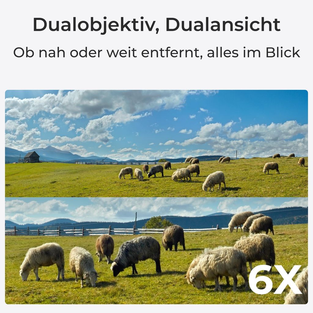 Reolink TrackMix LTE+Solarpanel - C, 4K 8MP 4G LTE Akku Dual Objektiv Überwachungskamera, Auto - Zoom & Tracking, Intelligente Erkennung, 6X Hybridzoom